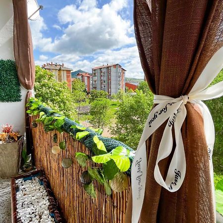 Sova Apartment Vârşeţ Exterior foto