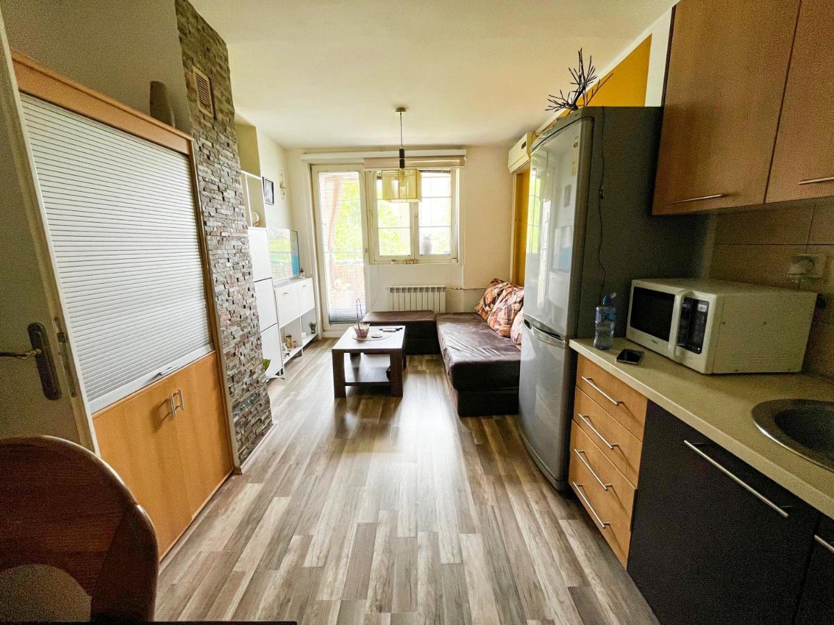 Sova Apartment Vârşeţ Exterior foto